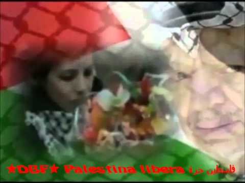 ★ "PALESTINA LIBERA فلسطين حرة " (per non dimenticare Abu Ammar e Vik Arrigoni) ★