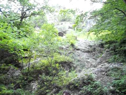 Expeditie in Cheile Ramet la www.tabarachitara.ro Partea II