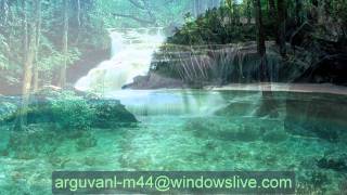 ERHAN YILMAZ  BEN SENİ SEVDİM SEVELİ