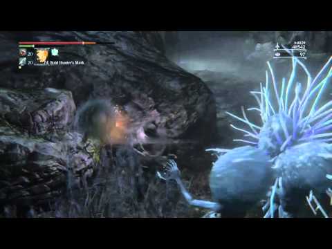 Forbidden Woods shortcuts