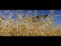 Thy Worshiper - Ozimina (HD) 