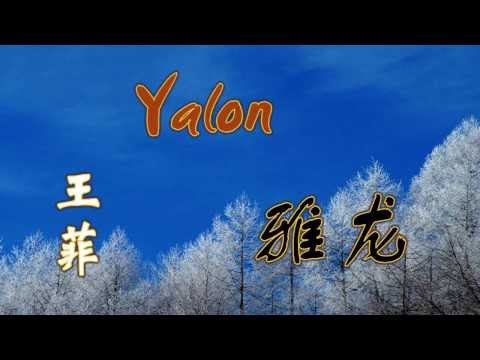 Wang Fei 王菲 Guqin Improvisation Chinese Music Poetry  王葳朗诵那兰性德《梦江南》
