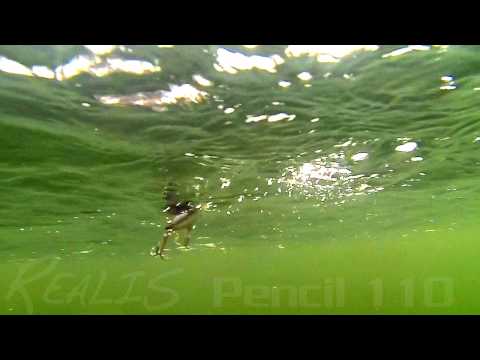 DUO`s Lures in Motion #6 - Realis Pencil 110