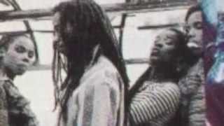 Ziggy Marley & the Melody Makers - In the Flow (Do Not DistHerb Mix)
