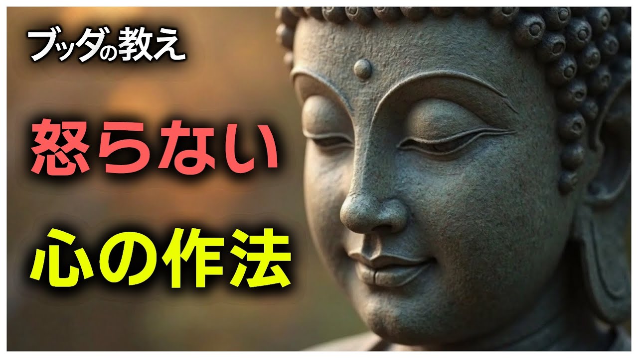 怒りの火を消す智慧、心に静けさを取り戻す忍辱の教え
