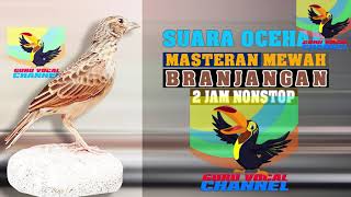 Download lagu Suara Jernih nyanyian burung Branjangan Javanika masteran dan pancingan emosi burung branjangan mp3 Download lagu Suara Jernih nyanyian burung Branjangan Javanika masteran dan pancingan emosi burung branjangan mp3