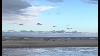 Gold’s Inlet St. Simons Island