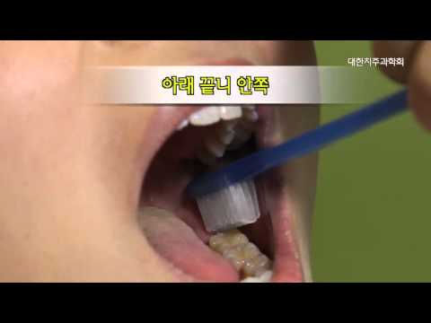 일반 칫솔 사용법 영상 썸네일