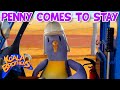 Penny Comes To Stay KoalaBrothersTV Animation For Kids