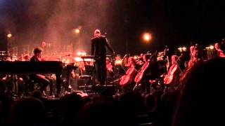 John Grant and the Iceland Symphony Orchestra - Caramel