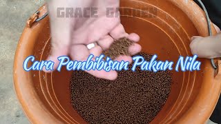 Download lagu Cara Pembibisan Pakan Ikan Nila Menggunakan Probiotik EM4 & Vitamin || Budidaya Nila Sistem RAS mp3 Download lagu Cara Pembibisan Pakan Ikan Nila Menggunakan Probiotik EM4 & Vitamin || Budidaya Nila Sistem RAS mp3