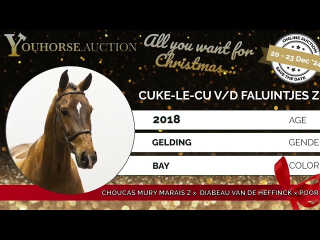 Cuke Le Cu Van De Faluintjes Z Show video