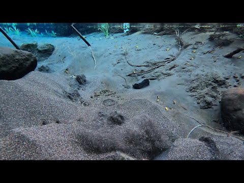 新阿蘇紀行（5.竹崎水源）