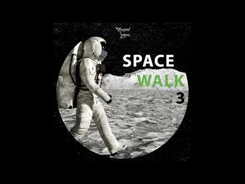Free Download Space Walk 3 WAV-FLARE