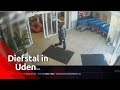 Uden: diefstal