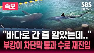 결국 다시 돌아와버린 부캉이 라이브