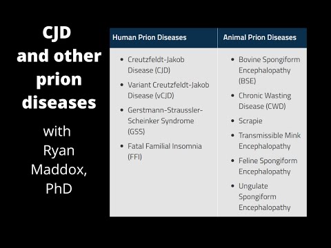 Creutzfeldt-Jakob Disease (CJD) and other prion diseases