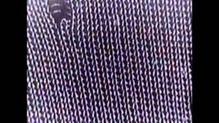 Charles Cohen - UTEP1 [Morphine Records]