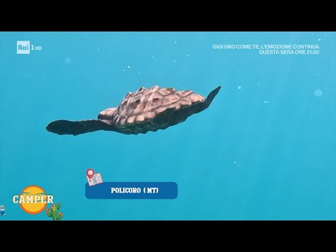 Policoro: il mare della Basilicata jonica - Camper 25/07/2025