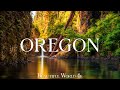 Oregon 4K Majestic Fall Colors Scenic Forest Trails And Cascading Waterfalls 4K VIDEO
