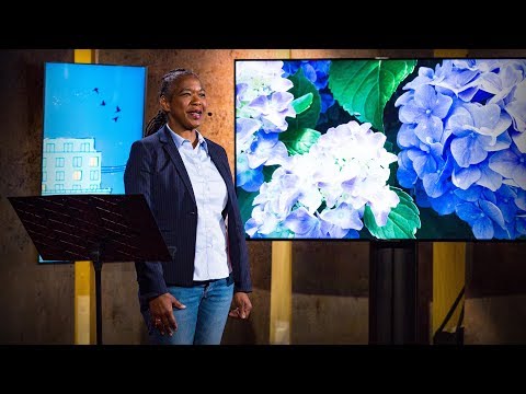 ガーデニングが教えてくれたこと【TED】tobacco brown.ガーデニングが教えてくれたこと (What gardening taught me about life | tobacco brown)
