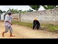 Lucky S Comedy X Funnyemie New Hustle