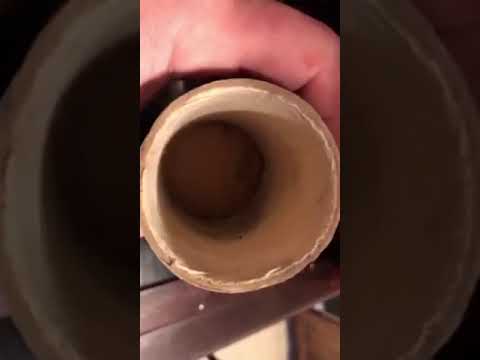 Ada Jones By The Light Of The Silvery Moon Edison Wax Blue Amberol Cylinder Recording Ragtime