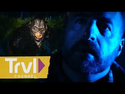 FAN FAVORITE Horror Stories of America's Haunted Forests! | These Woods Are Haunted | Travel Channel