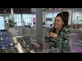 Food Forum wordt geopend  A dream come true