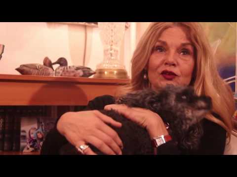 INSPIRACIJA DANA - MIRJANA BOBIC MOJSILOVIC, PISAC