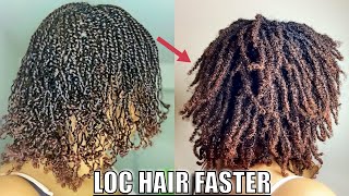 DO THIS TO MAKE HAIR LOC FASTER !