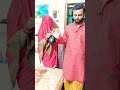 ससुर जी ने लाया पानीपुरी Sasur Ji Laaye Panipuri Comedy Shor