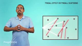 Human Eye and Colourful World - 7 | Tyndall Effect | Why is the Colour of sky blue at day class 10
