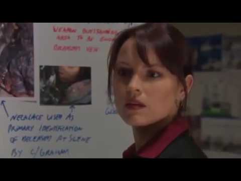 Blue Heelers - 12x38 Promises, Promises