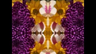 Walking Slow (by Jackson Browne and David Lindley live in New Orleans '75)