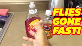 Get rid of FRUIT FLIES and GNATS and all small flying bugs, WATCH NOW.