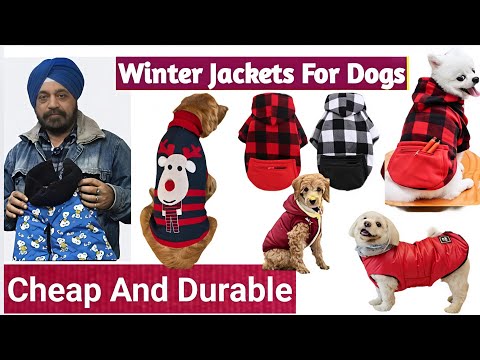 🐶 CHEAPEST DOG CLOTHES REVIVE ! Budget-Friendly Winter Wear For Street Dogs & Pets 😺
