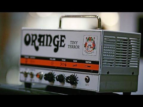 Orange Tiny Terror-All Tube Head (Demo & Review)