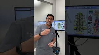 Got digestive issues? Check your lower back nerves.