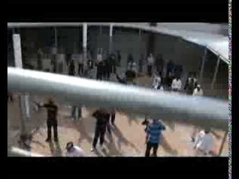 1sang10 - Débrouillards