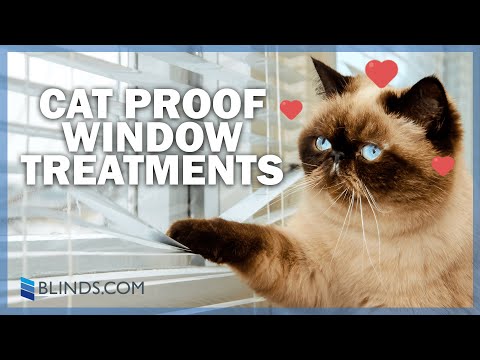 YouTube video about: How to protect blinds from cats?