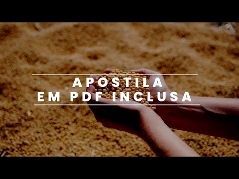 APOSTILA COMPLETA EM PDF