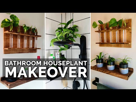 image-What plant do you put in the shower?