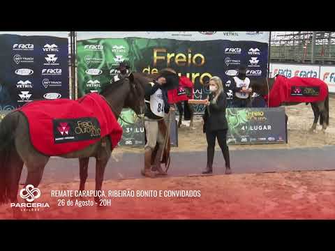 Chamada Remate Carapuça, Ribeirão Bonito e Convidados - 26.08.22