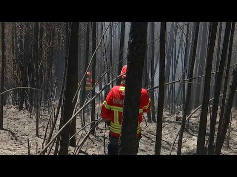 Maior incêndio da Europa foi extinto