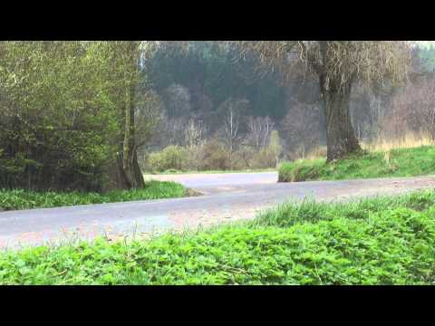 43 Rajd Świdnicki 2015   Wodziński / Lewandowski