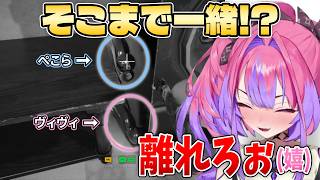 隠れる場所まで似てきたぺこヴィヴィ【白上フブキ・兎田ぺこら・宝鐘マリン・桃鈴ねね・綺々羅々ヴ