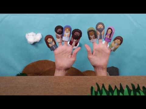 Witness21 Editor  2016 08 03