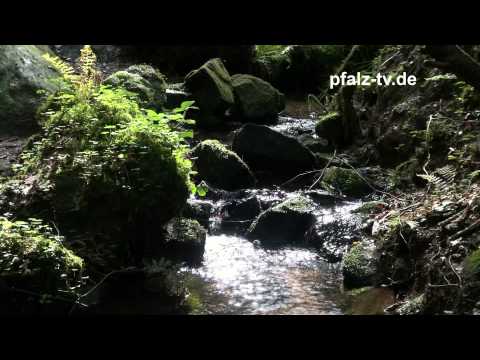 Der mystische kleine Wasserfall im Tal der Feen + ZEN - Zuschauen - Entspannen - Nachdenken