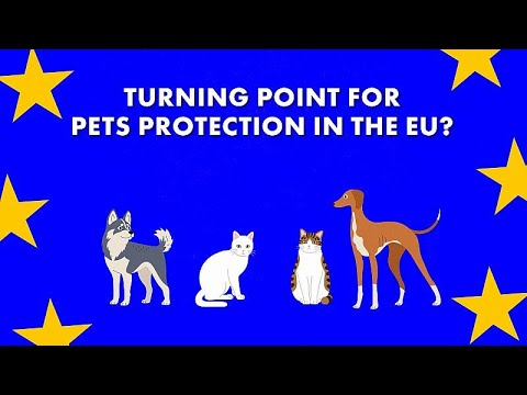 Wird das neue Tierschutzgesetz den illegalen Handel eindämmen?